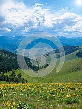 Mountain and Valley View