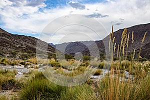 Mountain and valley view along Wadi Sahtan road and snake canyon in Al Hajir mountains between Nizwa and Mascat in Oman photo