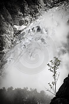 Mountain vegetation amid glacier in Norway