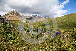 Mountain veiw. Kurai ridge, Altai