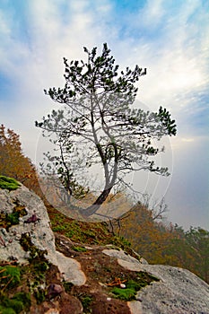 a mountain with a very tall cliff in the middle of it's forest area with trees on both sides