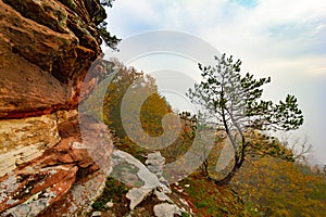 a mountain with a very tall cliff in the middle of it's forest area with trees on both sides