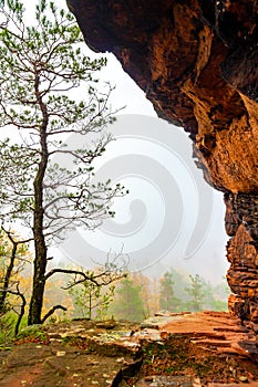 a mountain with a very tall cliff in the middle of it's forest area with trees on both sides