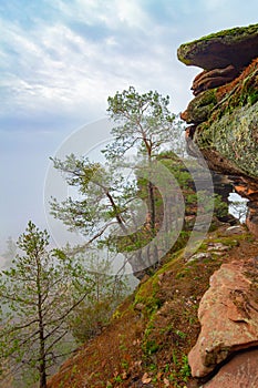 a mountain with a very tall cliff in the middle of it's forest area with trees on both sides