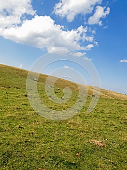 Mountain vibes in apuseni mountains