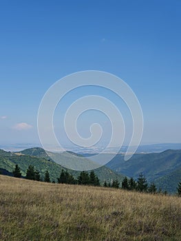 Mountain vibes in apuseni mountains