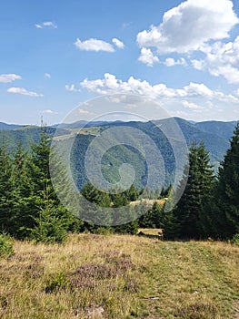 Mountain vibes in apuseni mountains