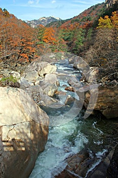 Mountain view photo