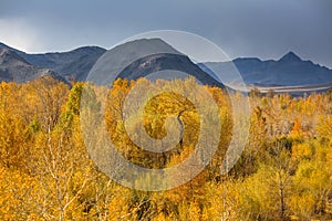 Mountain view autumn landscape of Western Mongolia.Nature.
