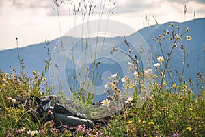 Mountain View Bionoculars and Wild flowers photo