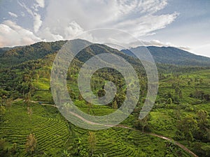 Mountain View, Bogor, Indonesia