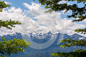 Mountain View through the branches of conifers. Olympic National Park, Washington State