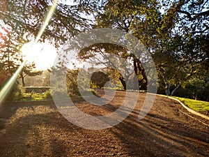 Mountain View Cemetery