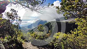 Mountain view cloudy tree papandayan park