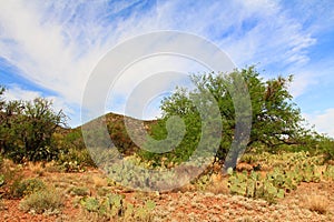 Mountain View in Colossal Cave Mountain Park