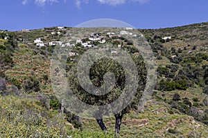 Mountain view Cyclades, Andros Island, Greece in spring, sunny day