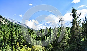 Mountain view from Fairy Meadows grassland