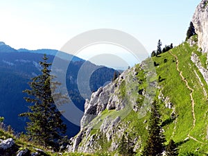 Mountain view with fir-trees and rocks in Charmant Som, France photo