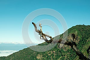 Mountain view, forest, beautiful sky