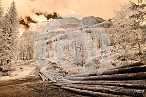 Mountain view from forest. infrared image