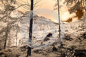 Pohľad na hory z lesa. infračervený obraz
