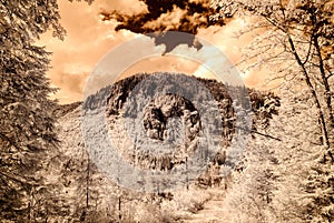 Mountain view from forest. infrared image