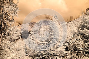 Mountain view from forest. infrared image