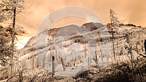 Mountain view from forest. infrared image