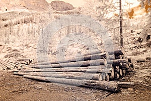 Mountain view from forest. infrared image