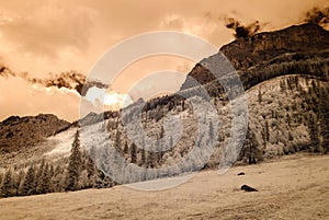 Mountain view from forest. infrared image