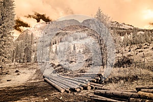 Mountain view from forest. infrared image