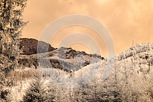 Mountain view from forest. infrared image