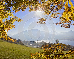 Mountain view through golden beech leaves, lake tegernsee