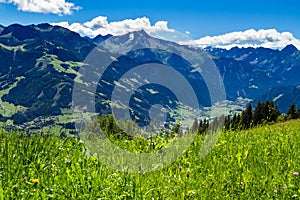 Mountain view with green meadow in foreground Zillertal High Road, Austria, Tyrol