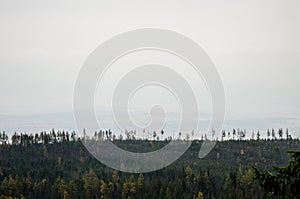 Pohľad z Vysokých Tatier - ukazuje zničený les