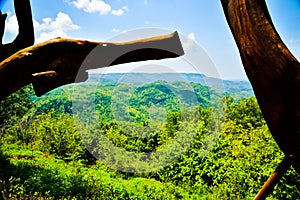 Mountain view of lush green forest and yellow river in East Asia