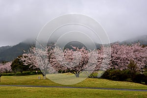 Mountain view near Tian porcelain Park, saga-ken, Japan