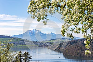 Mountain view over the Lake of Zug in central Switzerland with the famous Alpen peak Pilatus