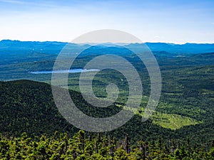 Mountain View, Overlook of Dense Maine Forest, Mahoosuc Range