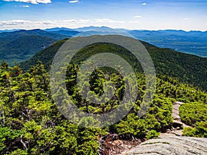 Mountain View, Overlook of Dense Maine Forest, Mahoosuc Range