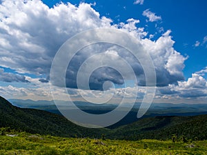 Mountain View, Overlook of Dense Maine Forest, Mahoosuc Range