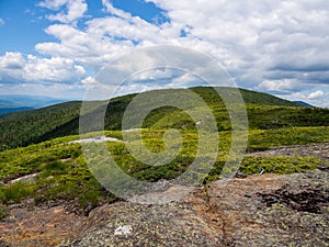 Mountain View, Overlook of Dense Maine Forest, Mahoosuc Range