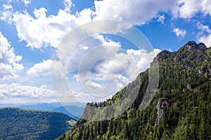 Mountain view with Pine forest, Slovakia