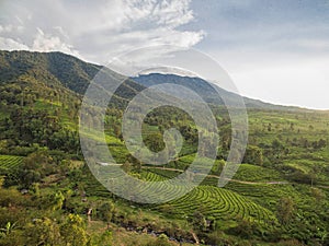 Mountain View, Puncak, Bogor. Indonesia