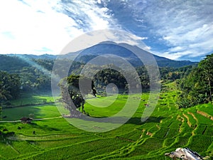 Mountain view from the rice field terasering somewhere in indonesia