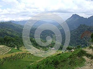 Mountain view and rice terraces of Tana Toraja