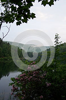 Mountain view, Shenandoah Mountains, Virginia