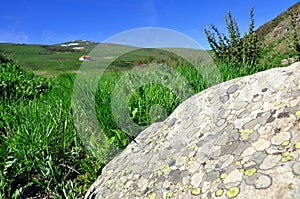 Mountain view, stone and green grass