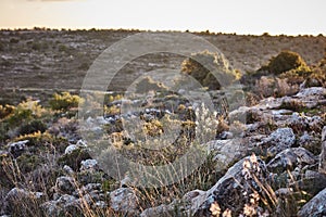 Mountain view at sunset time, Israel, Samaria.