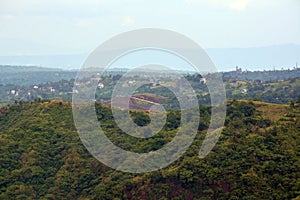 Mountain view with trees and leaves during daytime